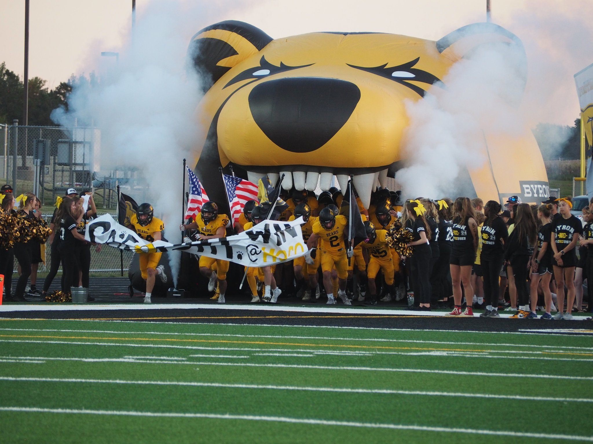 Brown bear head emblem